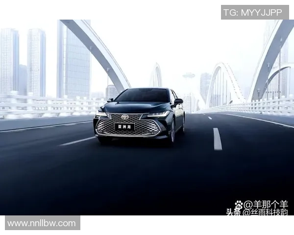 杭州网球队在洲际杯积分榜上以97分稳居第一名展现强劲实力